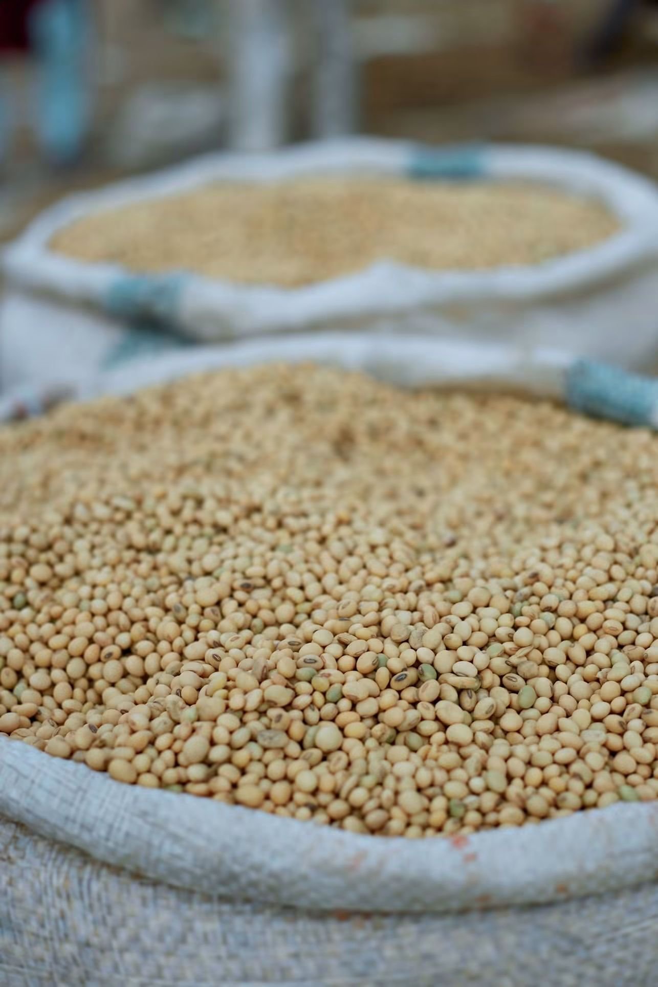 Agricultural commodities in sacks