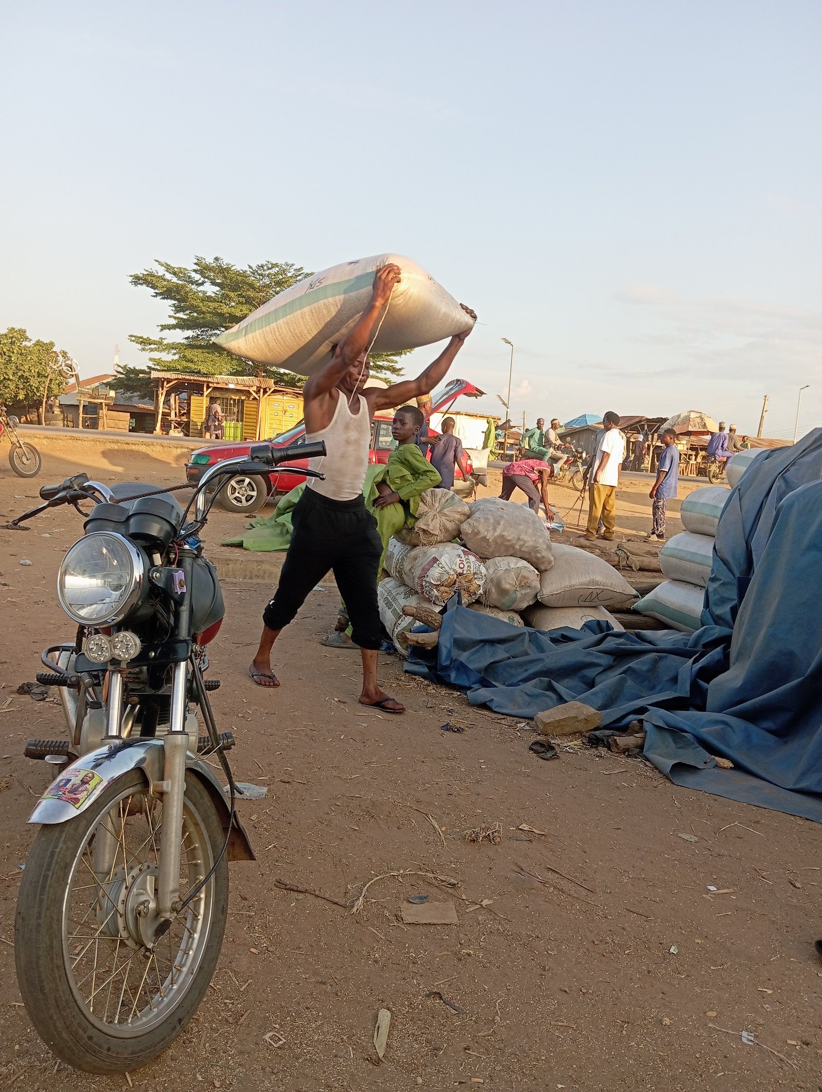 Manual handling and truck loading of 100kg grain sacks at the depot.