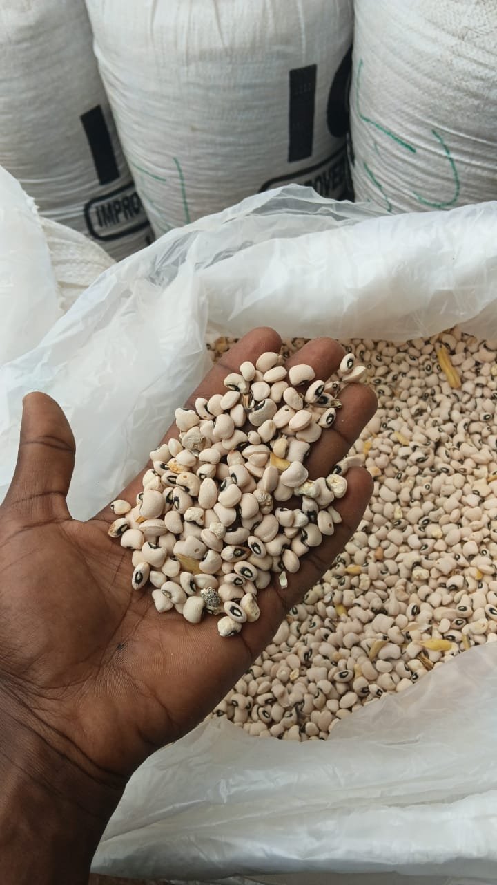 Beans inspected by hand at the source