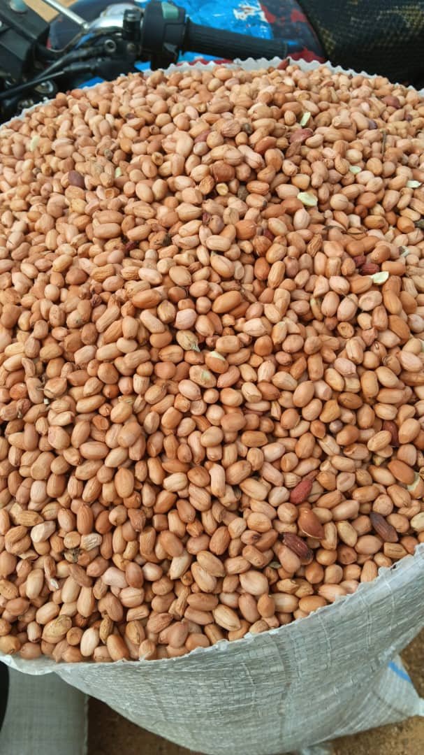 A sack of agricultural seeds